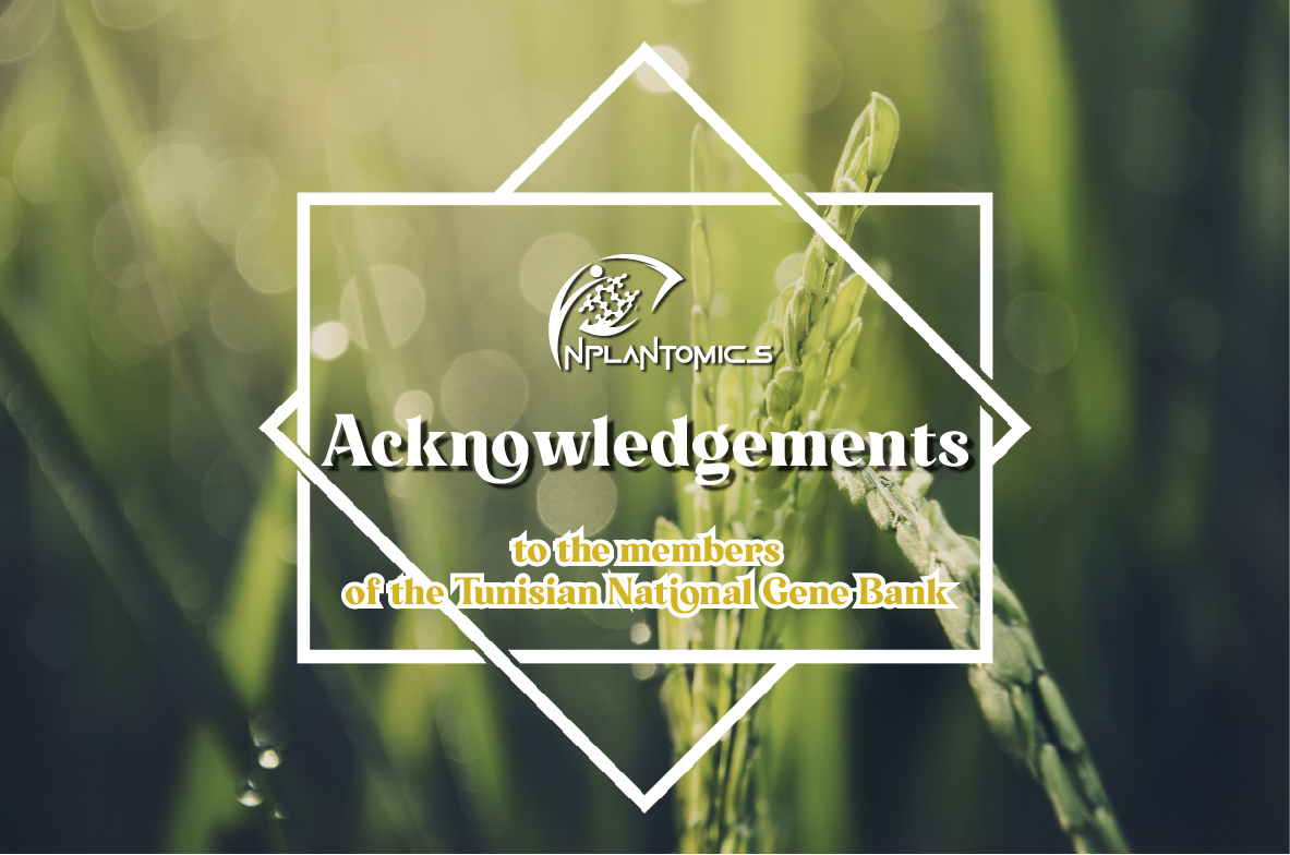 The INPLANTOMICS team sends heartfelt thanks to the members of the Tunisian National Gene Bank